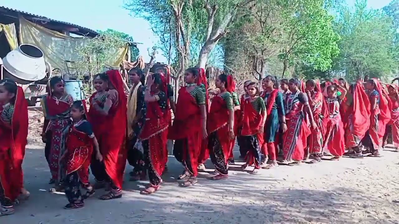 #Adivasi Culture #Timli dance video in sadhli village #ADIVASI Culture timli dance