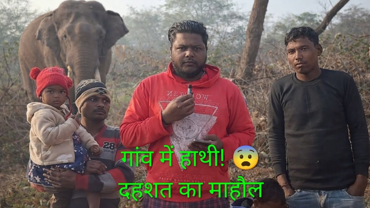 गांव में घुसा जंगली हाथी 😨 | Kherho (petarwar )में दहशत का माहौल!!