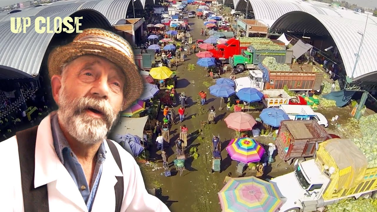 Exploring the World's Largest Fruit and Vegetable Market - Mexico | World's Greatest Food Markets