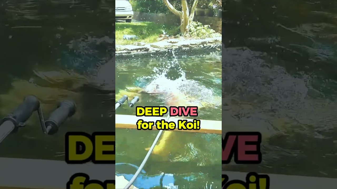 Fixing the Major Koi Pond Plumbing Issue: Susan is the Real Hero! 🛠️⛲