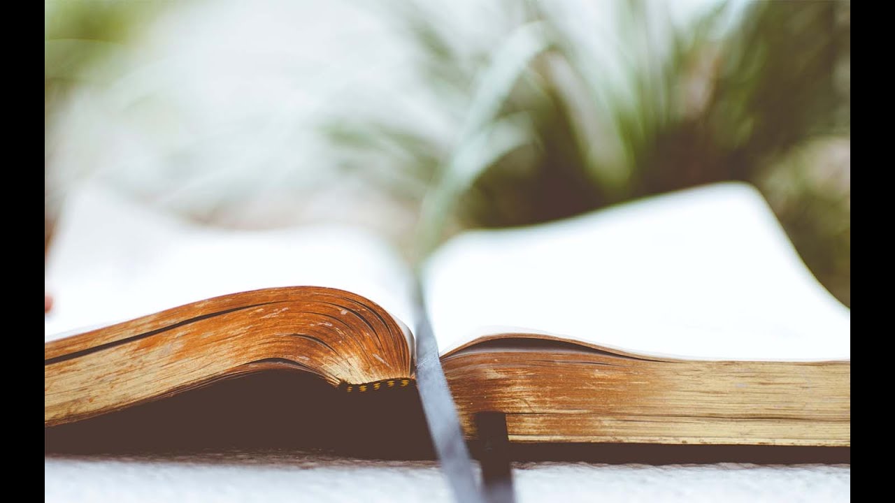 Wednesday Evening Pastor's Prayer & Bible Study