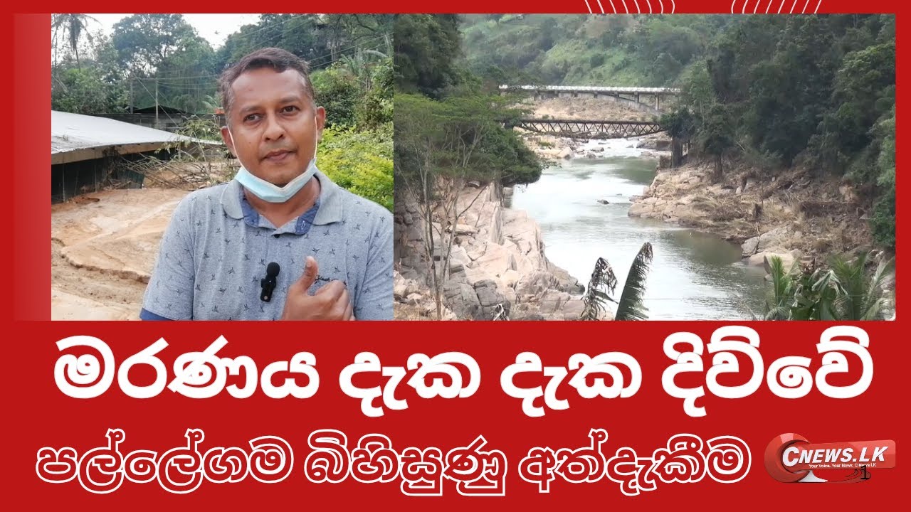 මරණය පෙනි පෙනි දිව්වේ #trending #cnews #CNEWS.LK