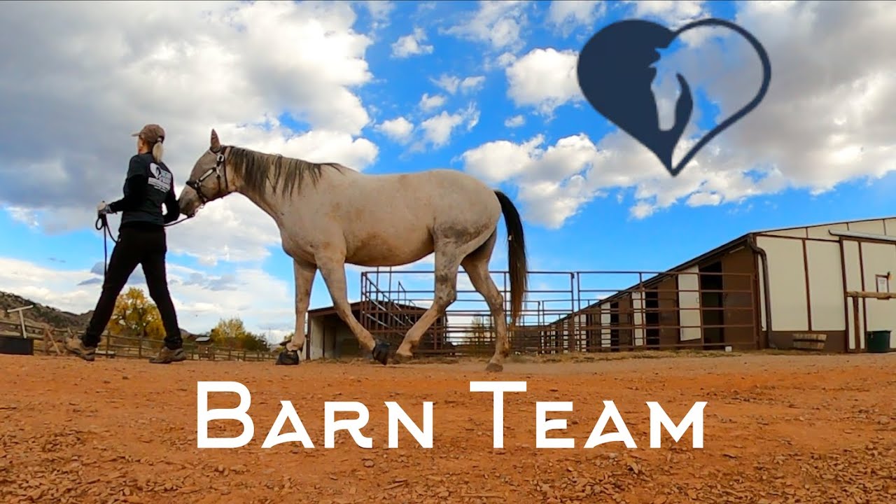 Barn Team at Hearts & Horses Therapeutic Riding Center in Loveland, Colorado
