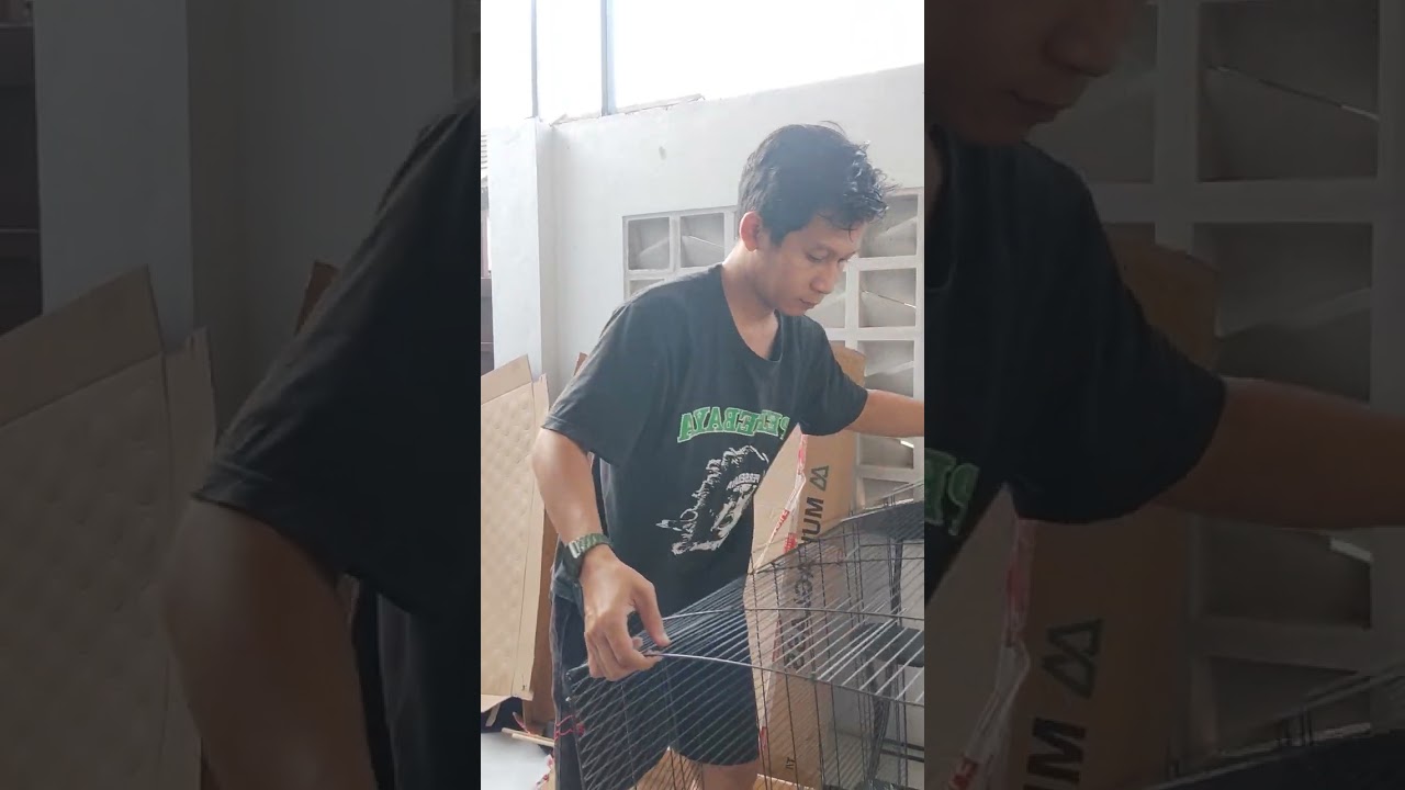 Merakit kandang mini aviary untuk burung finch 