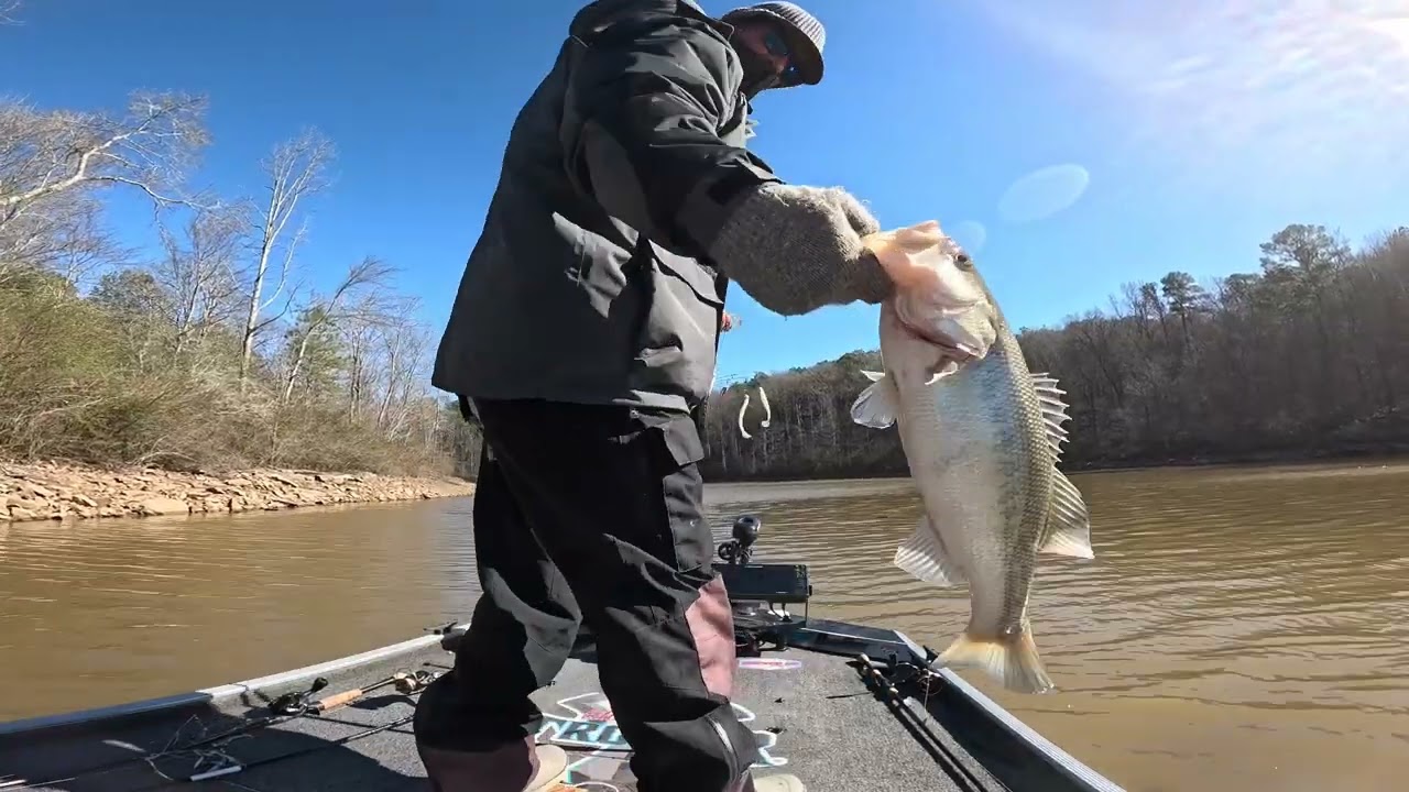 Cold Muddy Duck River Bass Fishing 