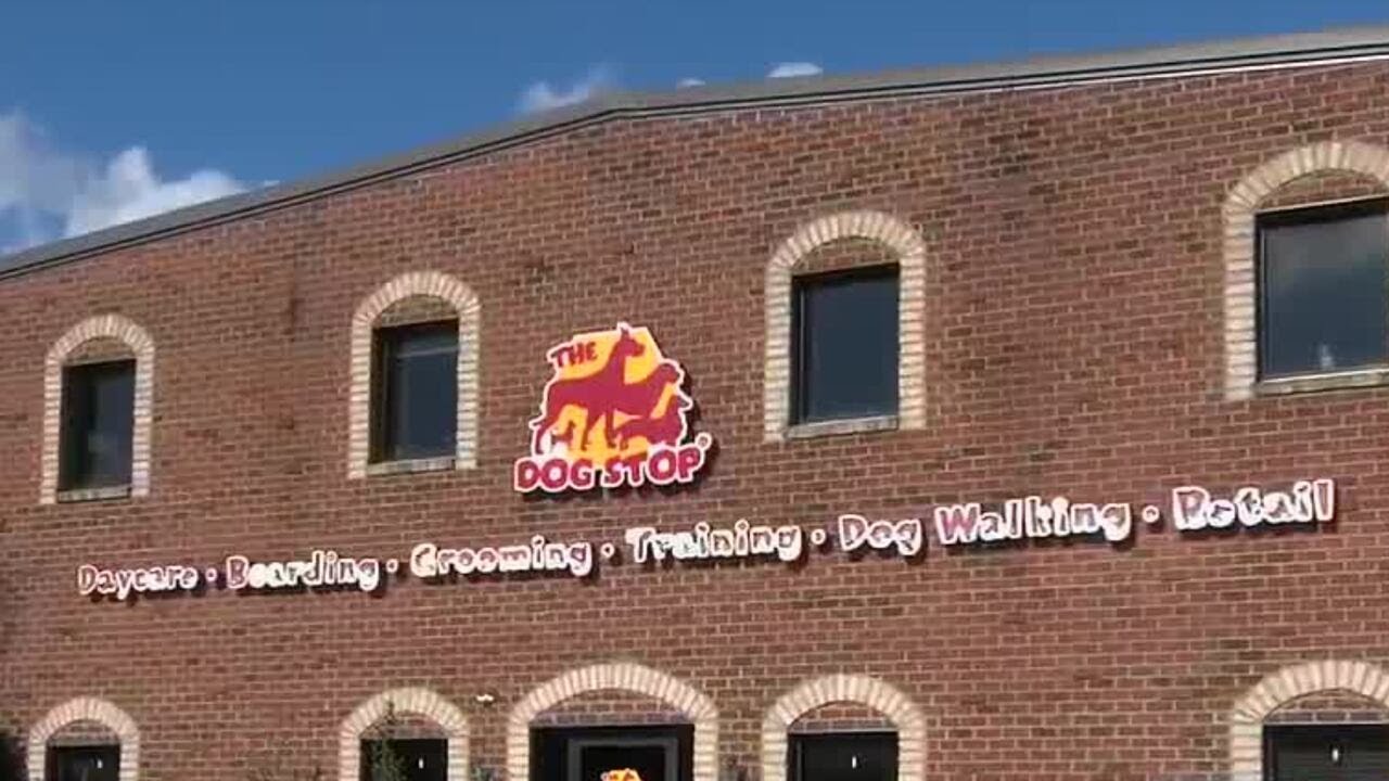 Storm damage forces temporary dog daycare closure in Trussville