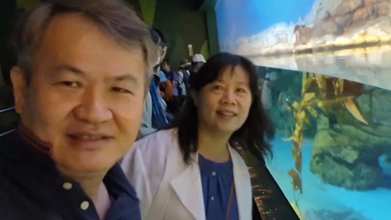 墾丁海生館#墾丁凱撒大飯店#墾丁覓覓民宿#墾丁悠活渡假村#墾丁姊妹沙灘民宿#墾丁三天兩夜度假旅行#墾丁發現西餐廳buffet