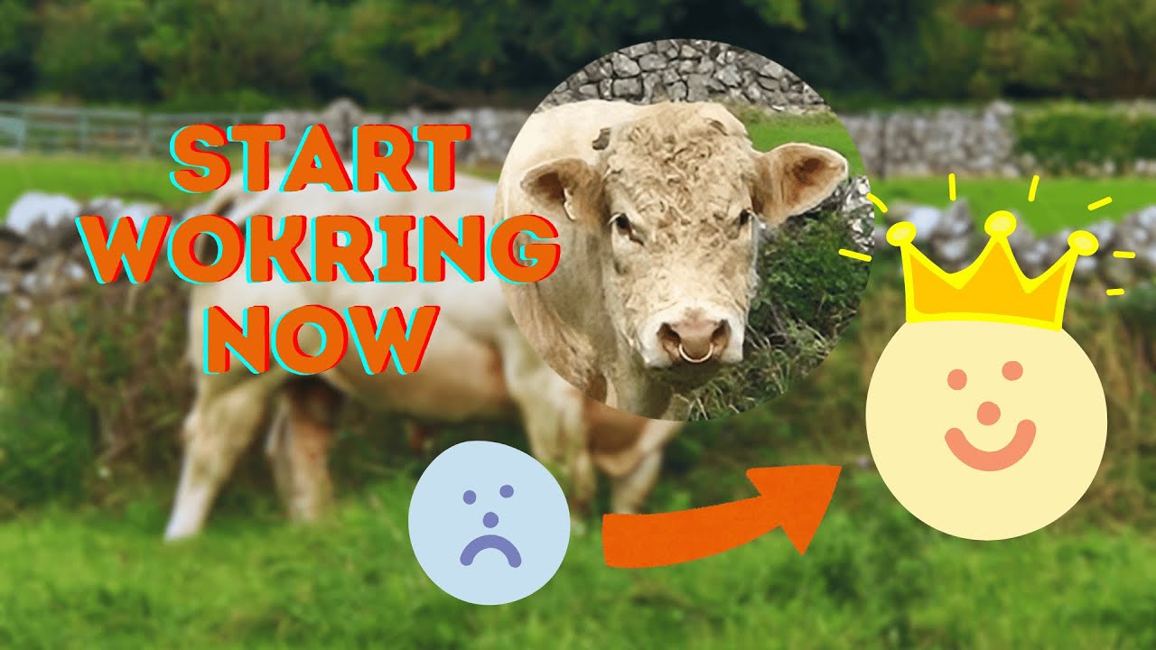Study, Relax & Deep Focus No Ads Morning Farm Ambience | Cow Watches You for 3 Hours