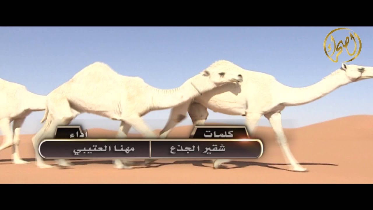 منقية الشيخ/ نادر بن صقر السحيل - نادر بن صقر السحيل - كلمات: شقير اجذع ، اداء: مهنا العتيبي