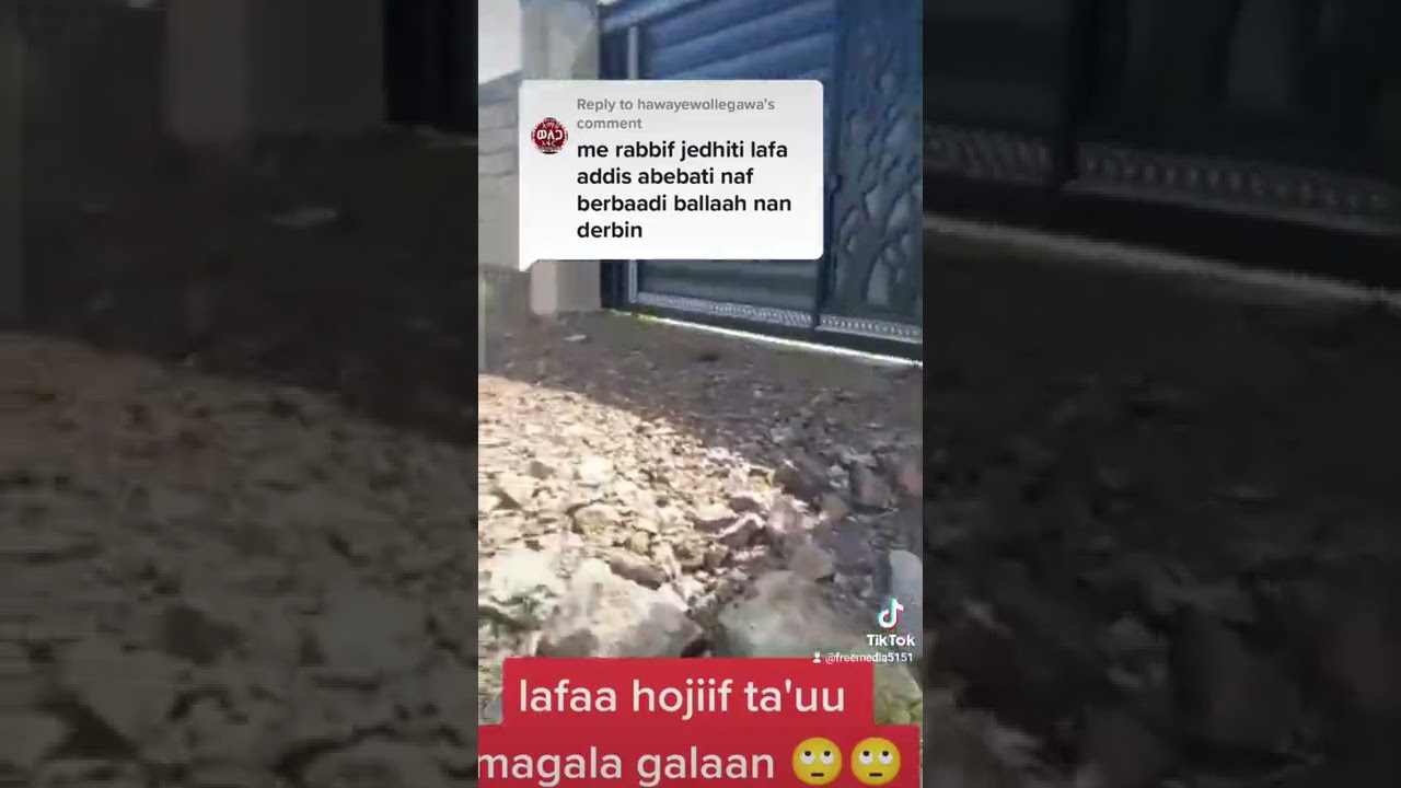 lafaa magala finfine