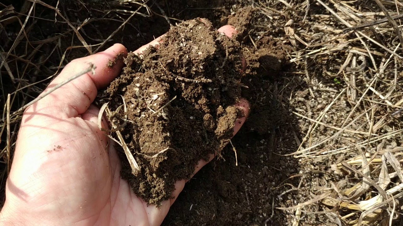 Importance of ground cover vs bare soil.