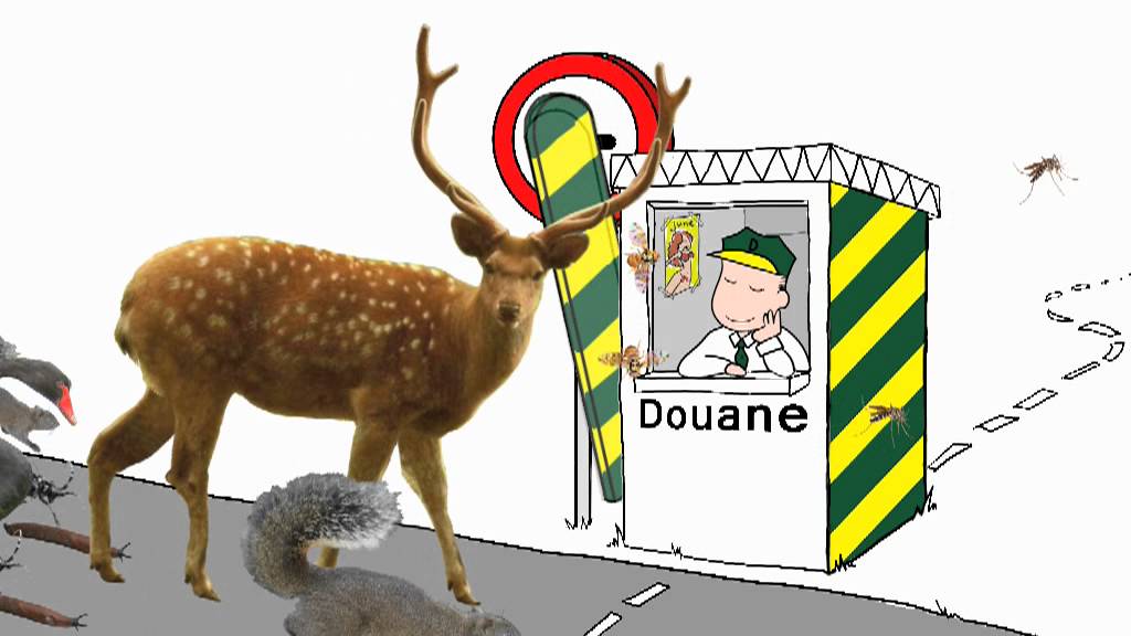 Invasieve Exoten