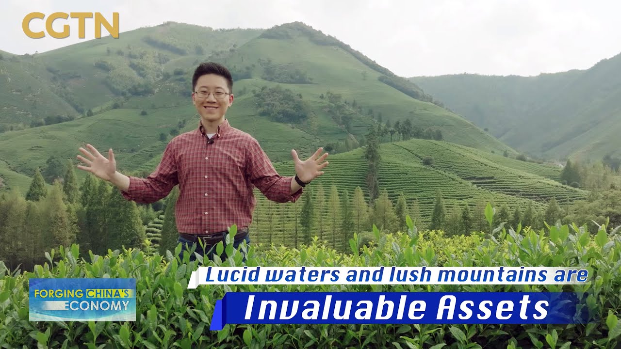 Lucid waters and lush mountains are invaluable assets