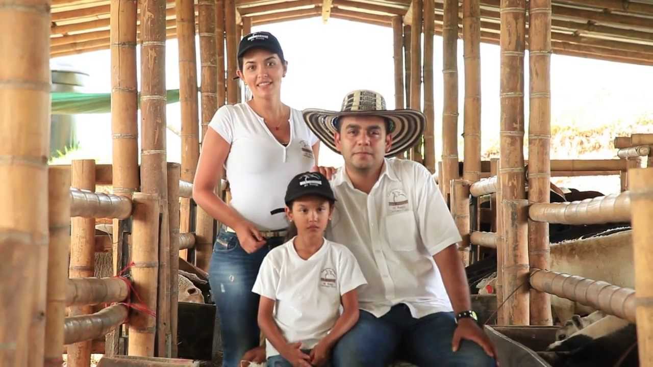 Criadero Ovino El Redil 2014