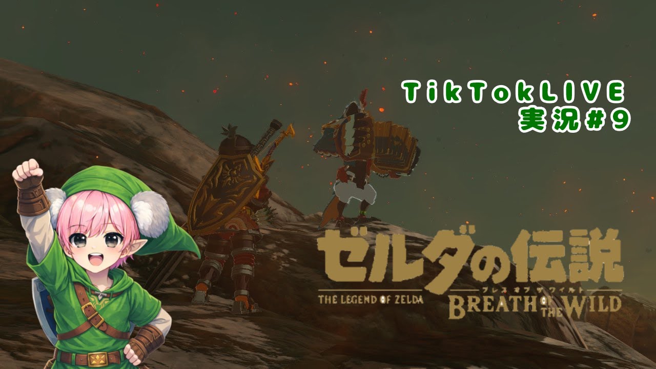 ゼルダの伝説 ブレスオブザワイルド #9 俺のマスターソード強化DLC突入