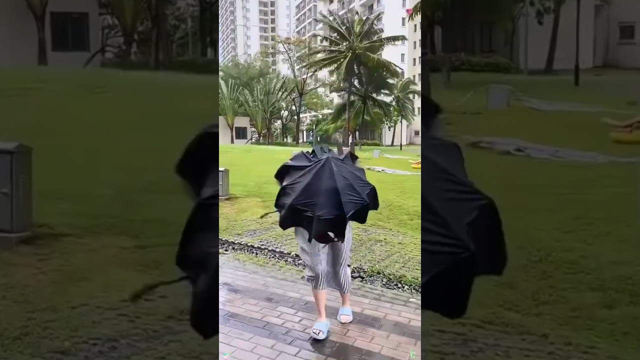 Extreme Floods & Powerful Storm Winds Caught on Camera 🌊🌪️ #shorts #floods #storm #disasters