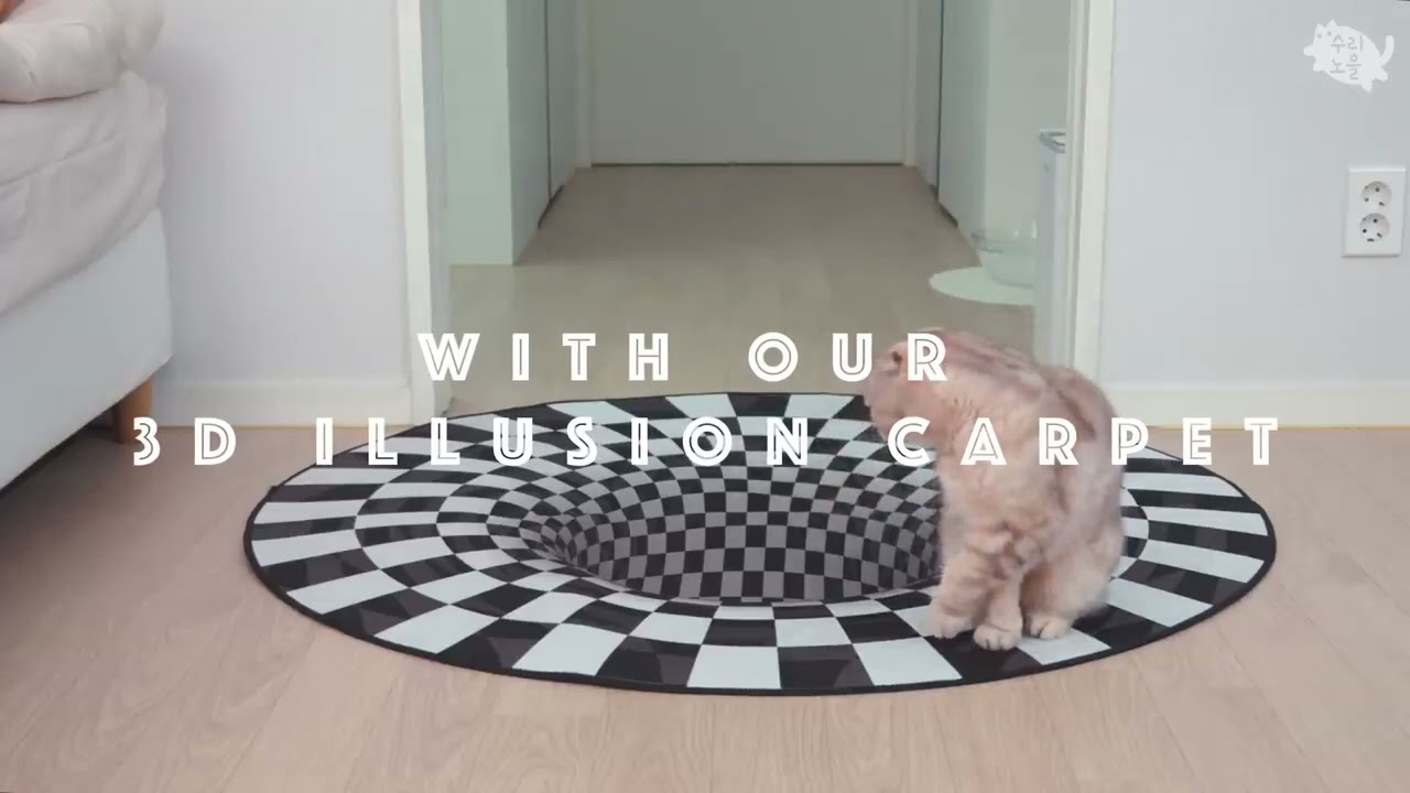 🌀 3D Vortex Illusion Carpet - Dare To Be Unique! 😉