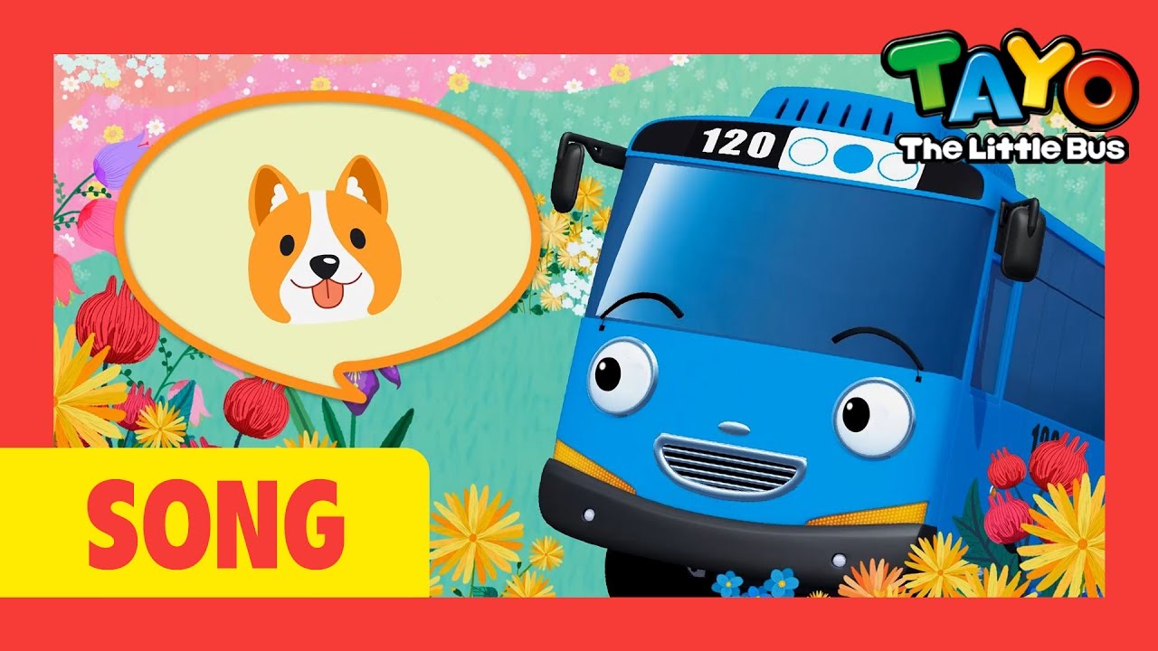 Tayo Song Oh Where Oh Where Has My Little Dog Gone l Nursery Rhymes l Tayo the Little Bus