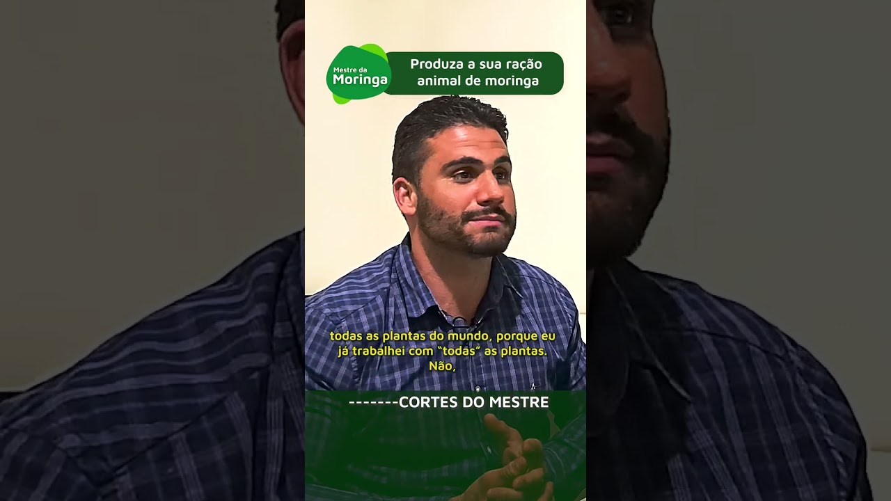Produza a sua ra&ccedil;&atilde;o animal de moringa