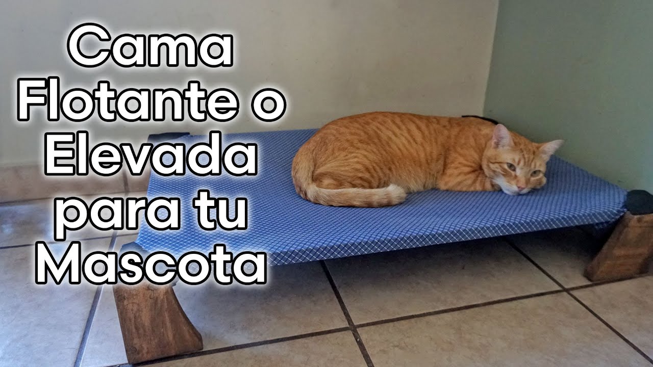Como Hacer una CAMA FLOTANTE O ELEVADA PARA NUESTRAS MASCOTAS 🐶🐱