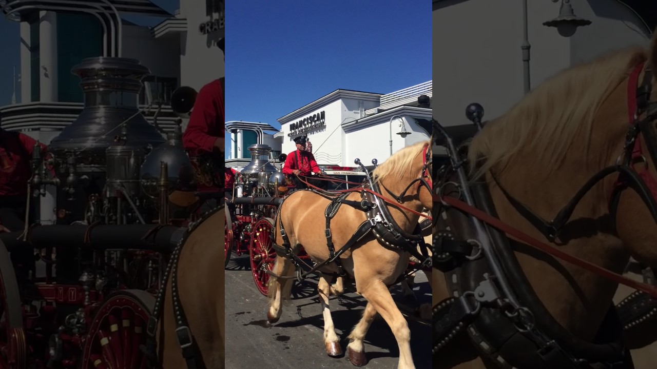 SFFD 150th ANNIVERSARY September 24, 2016 - Fire Horse Drawn Alarm Response