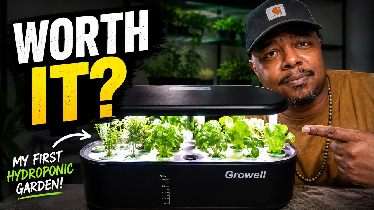 Моя первая гидропонная система для помещений — настройка и посадка GrowWell