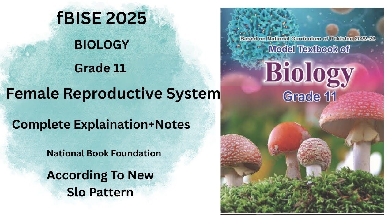 Female Reproductive System | Class 11 Biology | FBISE Board