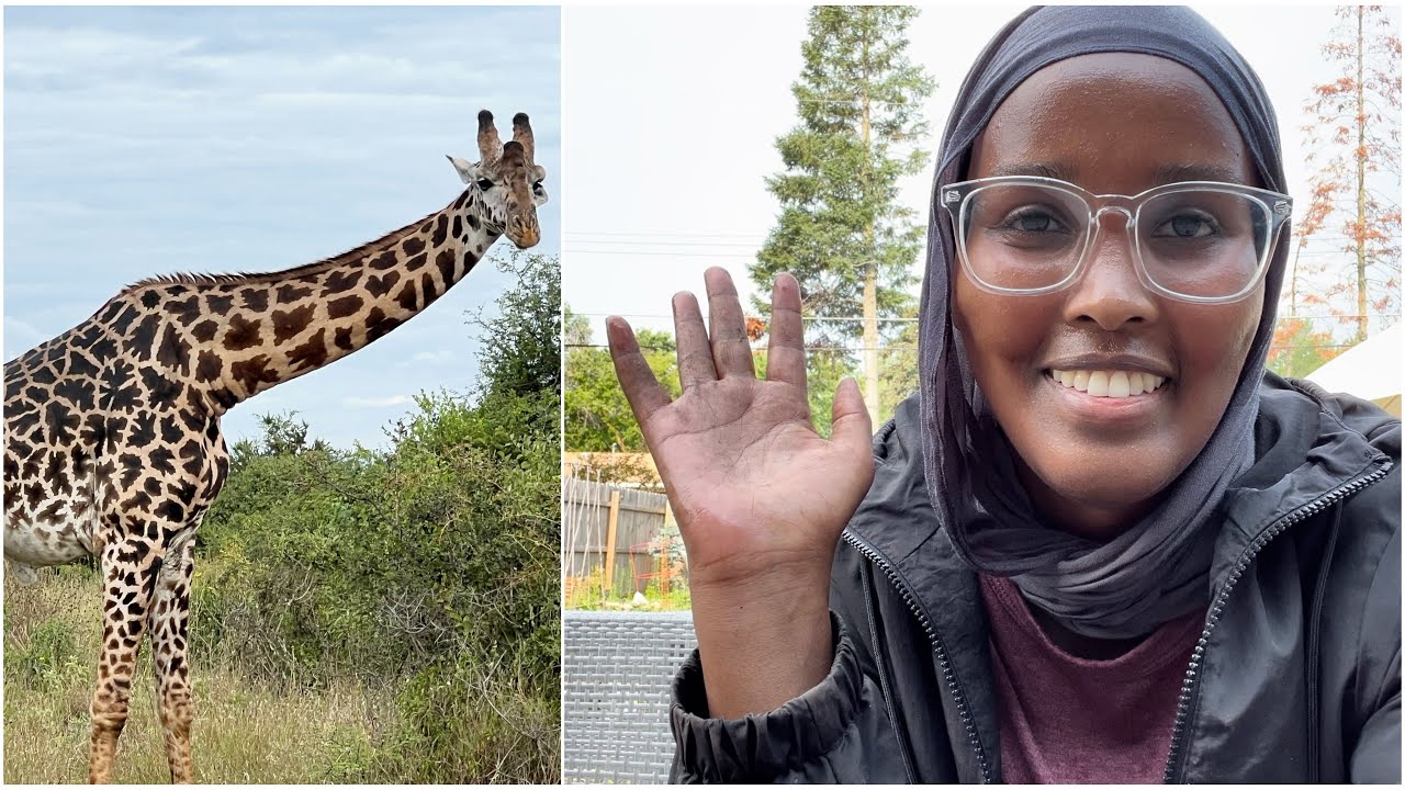 Caafimadka Beertayda / Himilo Farm ☘️/ Nairobi National Park 🦒 🦌 #garden #somali #subscribe