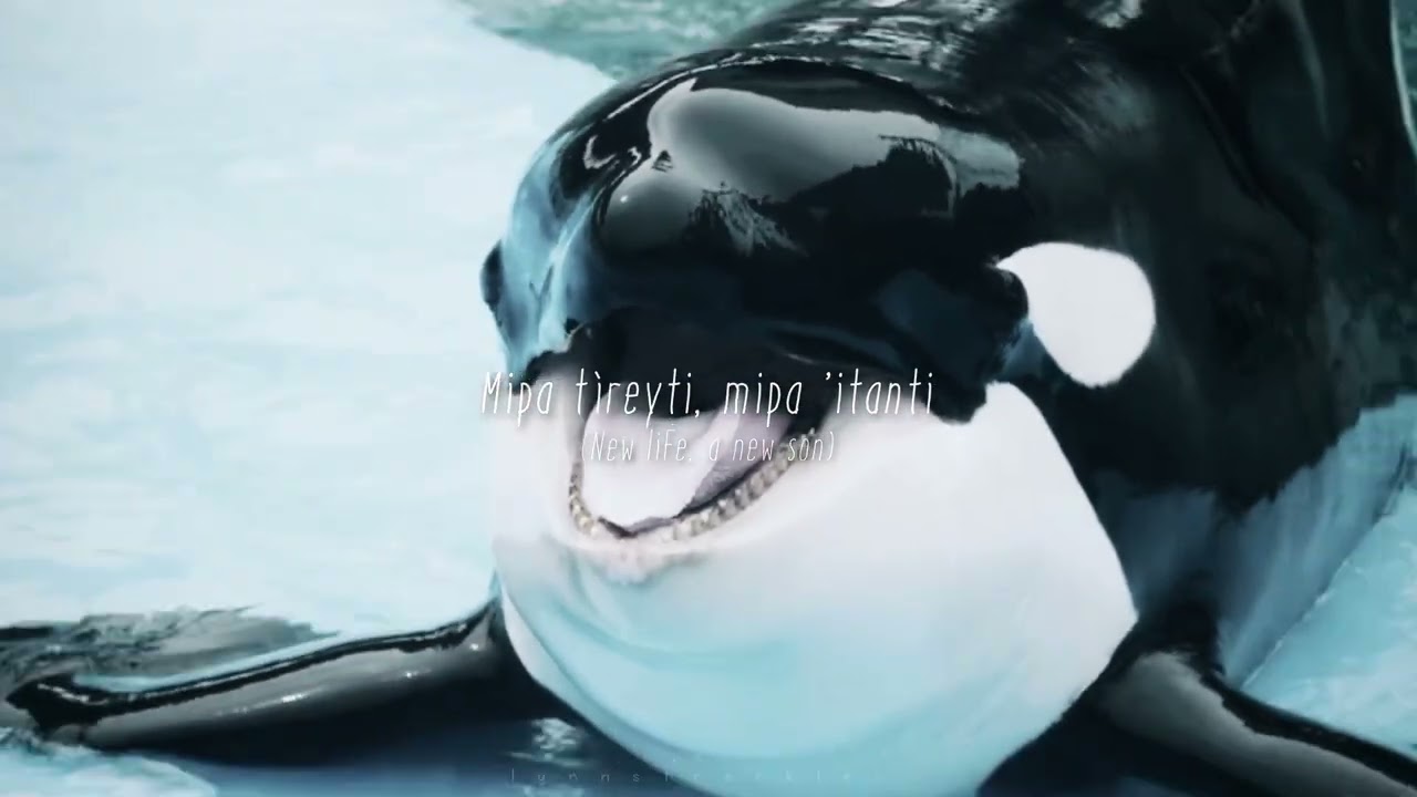 ꫂ ၴႅၴ 𝐇𝐚𝐩𝐩𝐲 𝐡𝐞𝐚𝐯𝐞𝐧𝐥𝐲 𝐛𝐢𝐫𝐭𝐡𝐝𝐚𝐲, 𝐄𝐚𝐫𝐭𝐡