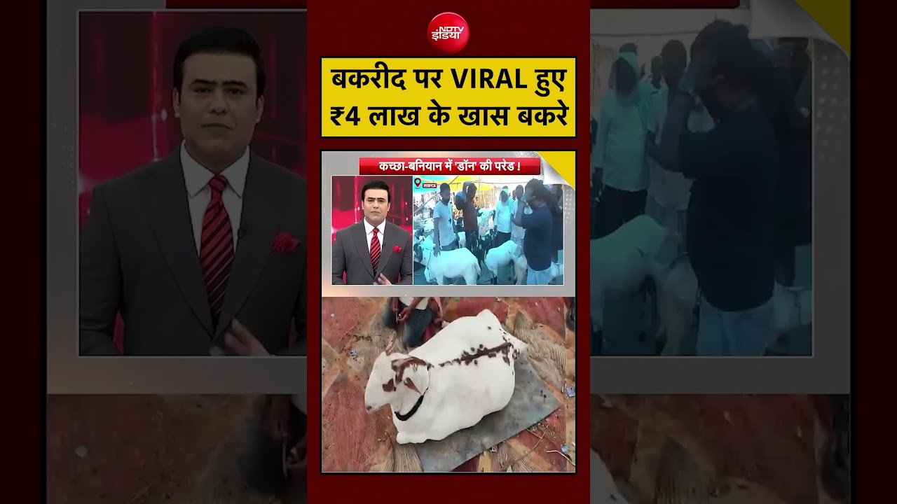 Syed Suhail | Bakrid | Eid al-Adha | UP News: बकरीद पर VIRAL हुए ₹4 लाख के खास बकरे #shorts #viral