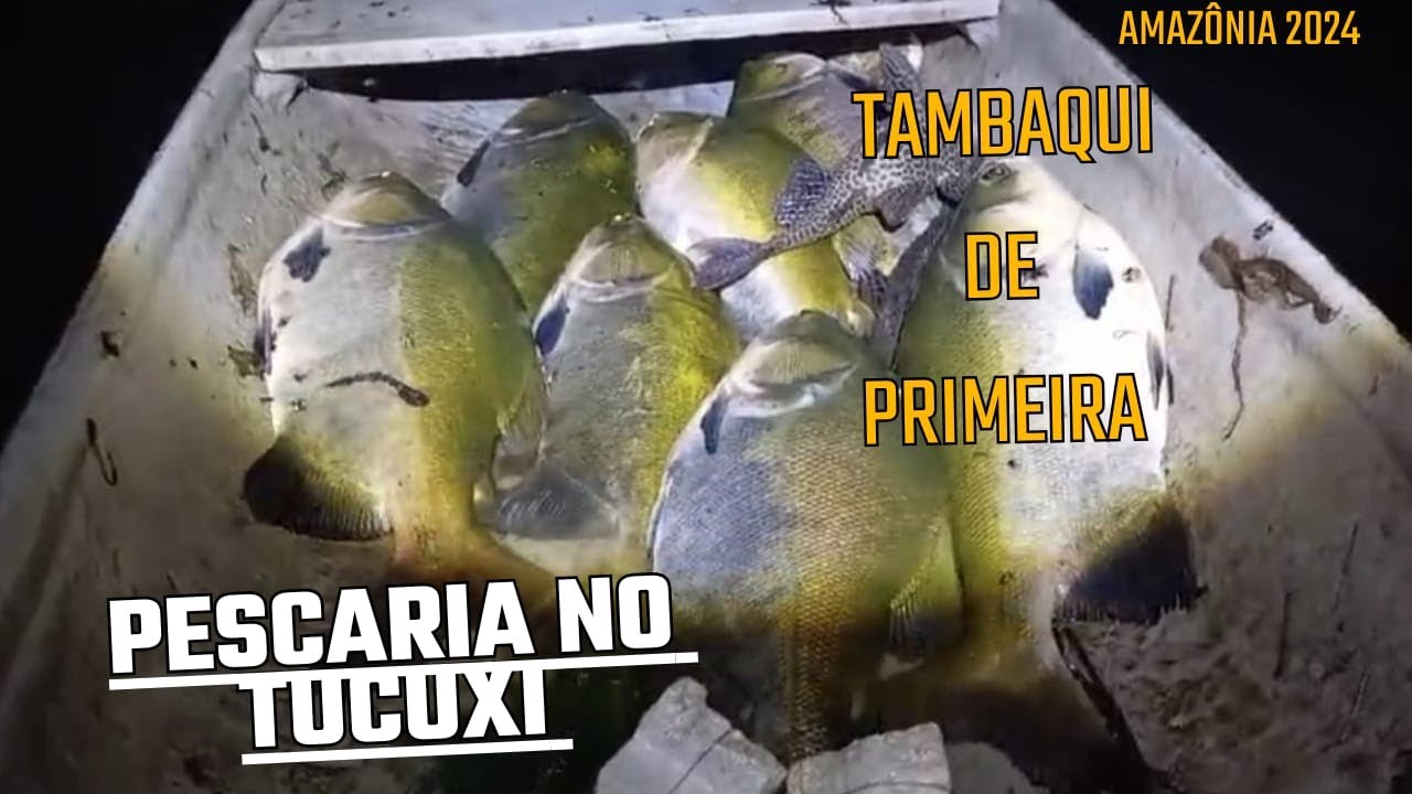 PESCARIA NO LAGO DO TUCUXI