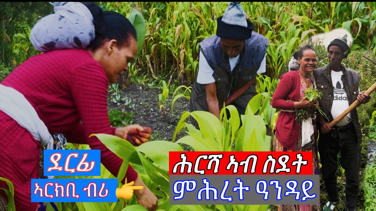 New Eritrean music ( Arkbi bri ) ኣርክቢ ብሪ ምስ ምሕረት ዓንዳይ ሩሑስ ኣውደኣመት ይግበረልና