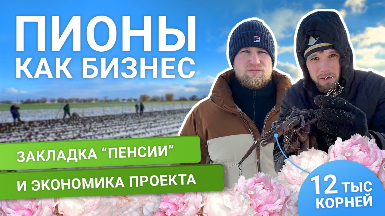 Реальный кейс: закладка плантации на 12 000 корней пионов в Крыму