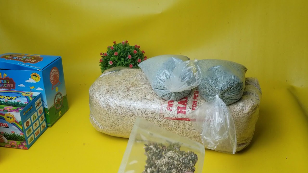 Berapasih uang yang di keluarkan untuk memelihara Hamster ?