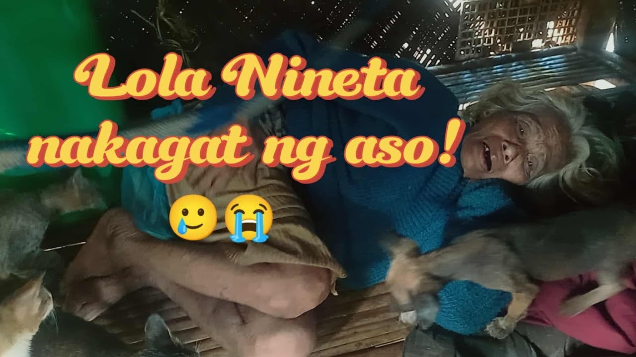 Lola nineta nakagat ng aso,,me ari wala dw pera 🥲🥲
