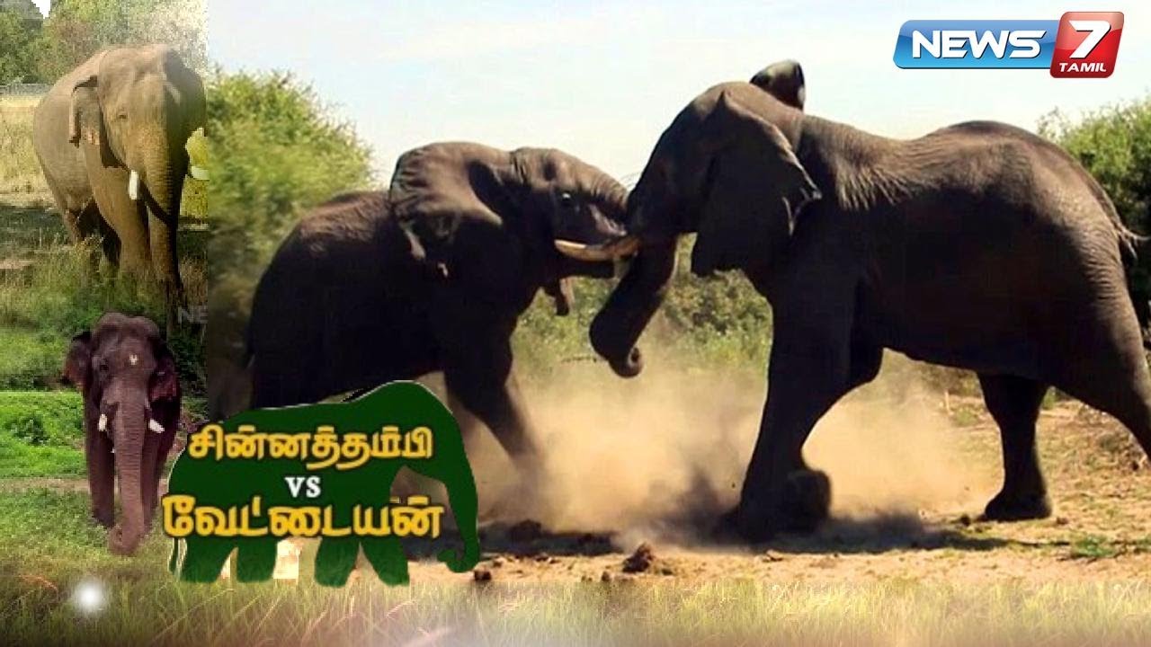 சின்னத்தம்பி VS வேட்டையன் | News7 Tamil