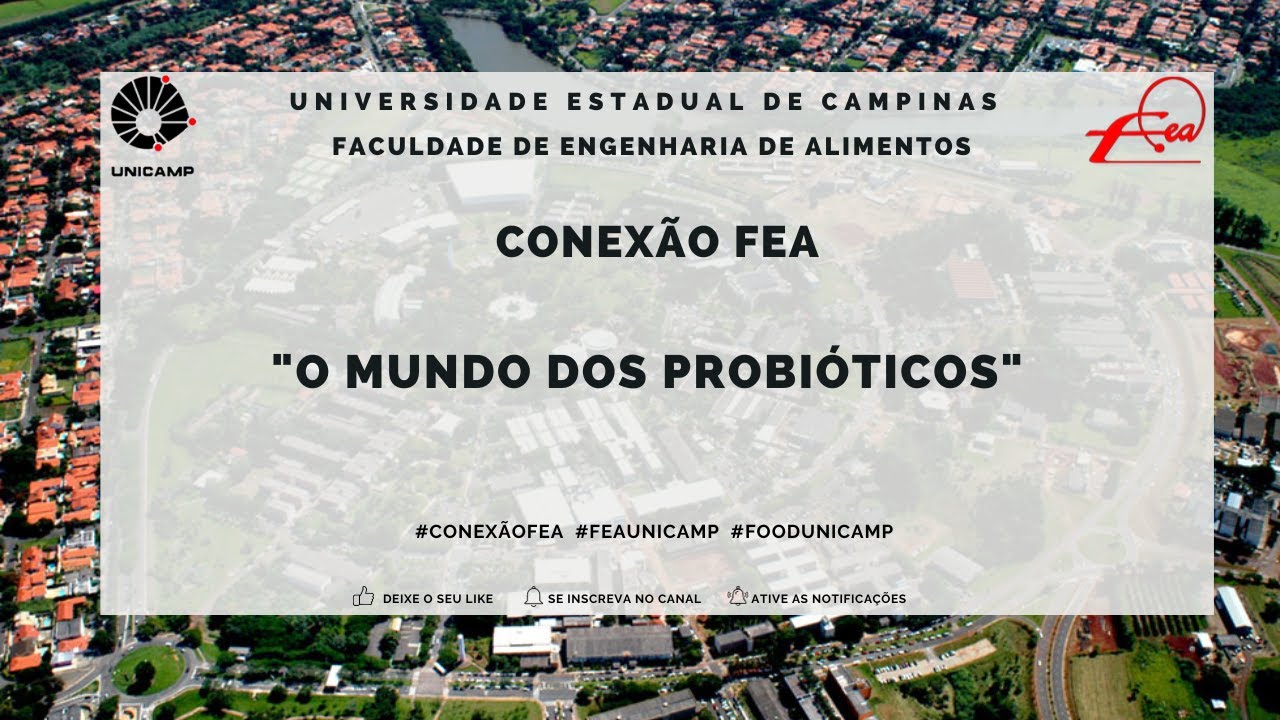 CONEXÃO FEA - O mundo dos Probióticos