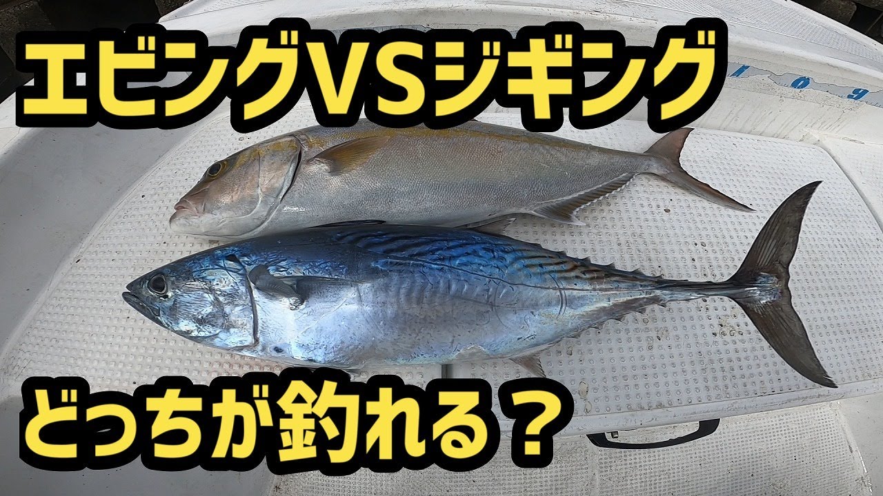 おかず釣りはエビング最強！