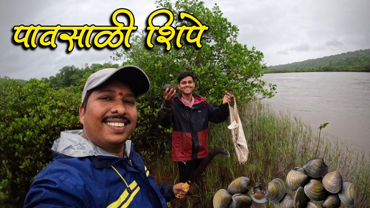 भर पावसात कोयतीने खाजनात काढले मोठे शिपे Clams 😍 | आईने बनवले म्हारई रेसिपी | S For Satish | Kokan