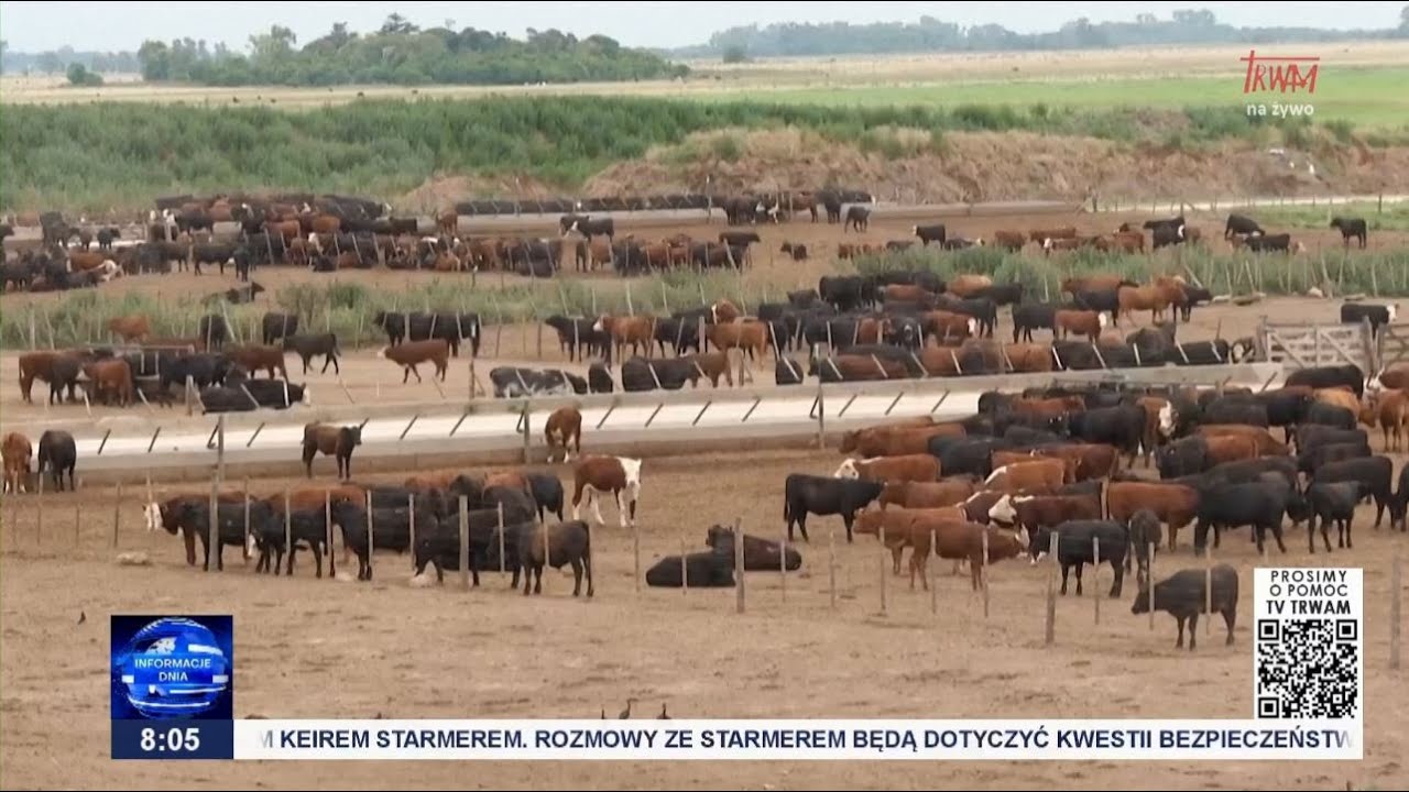 Informacje Dnia 13.01.2026 [08.00]