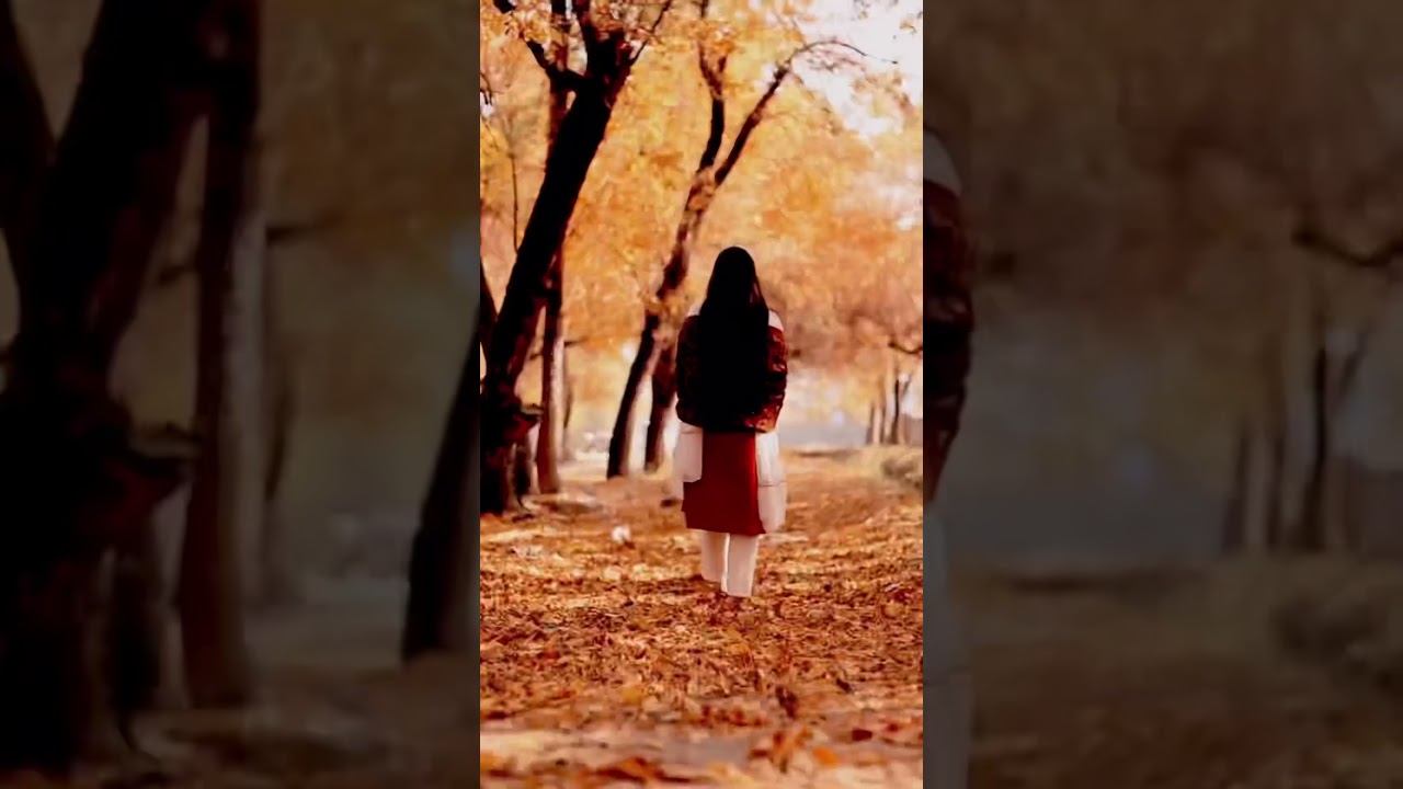 Kashmir girl and autumn 🍂 | Instagram reels | what's app status #viralkashmirivideos