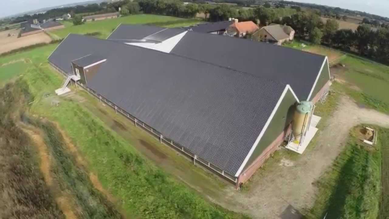 Agrafiek Award Finalist -Varkens '14 Hoeve de Hulsdonk (Oosterlaken) made by Prosu Media Producties)