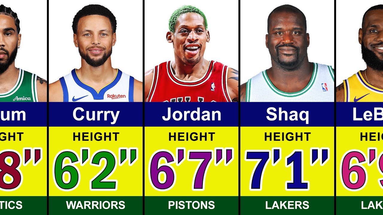 Height of Most Famous NBA Players 🏀💪