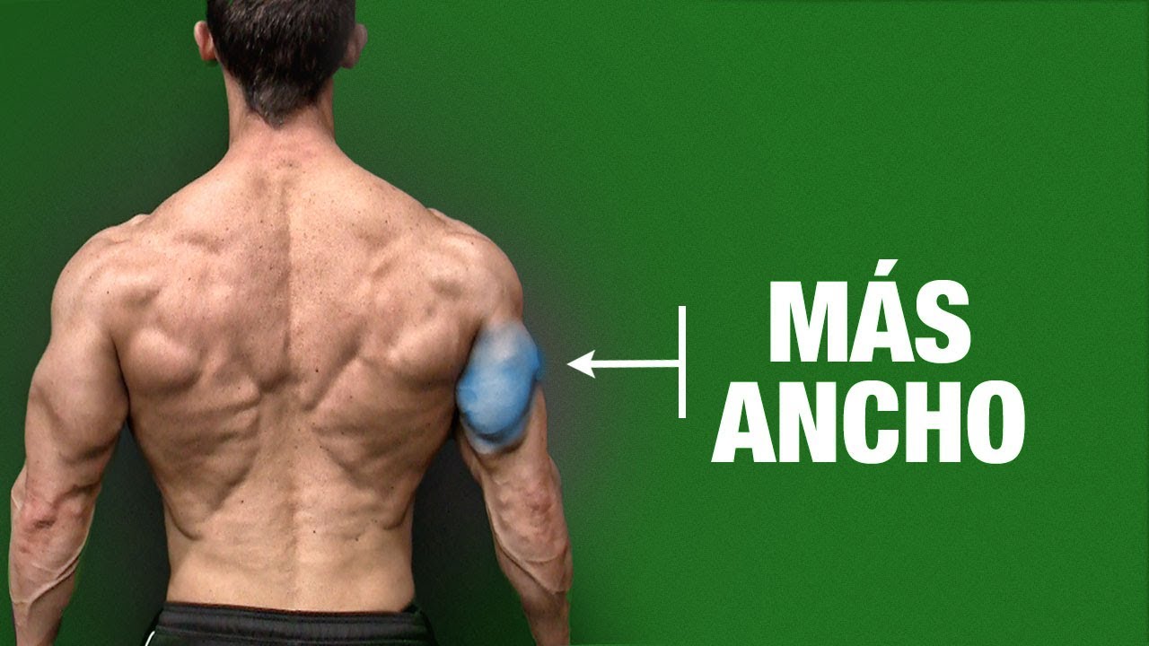 How to Get WIDER Triceps & Bigger Arms!