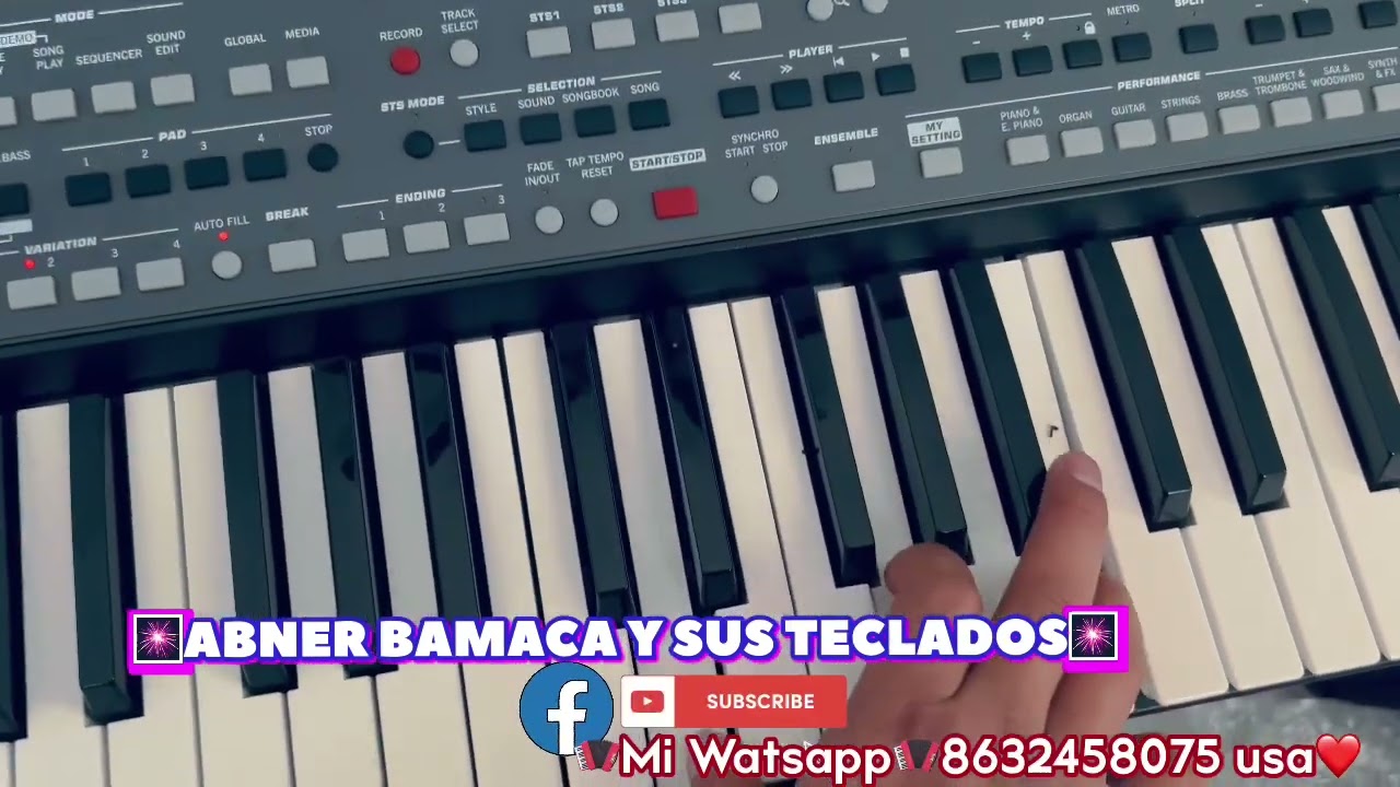 Problema de pantalla Korg pa600