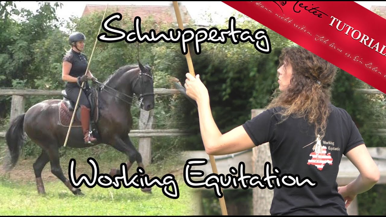 unser 2. Working Equitation Schnuppertag , wir nehmen dich mit! / Reitertutorials