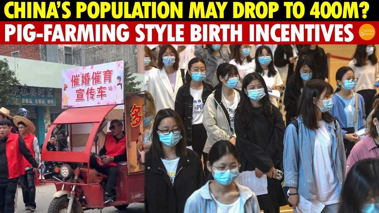 China’s Population May Drop to 400 Million? Implementing Pig-Farming Style Birth Incentives