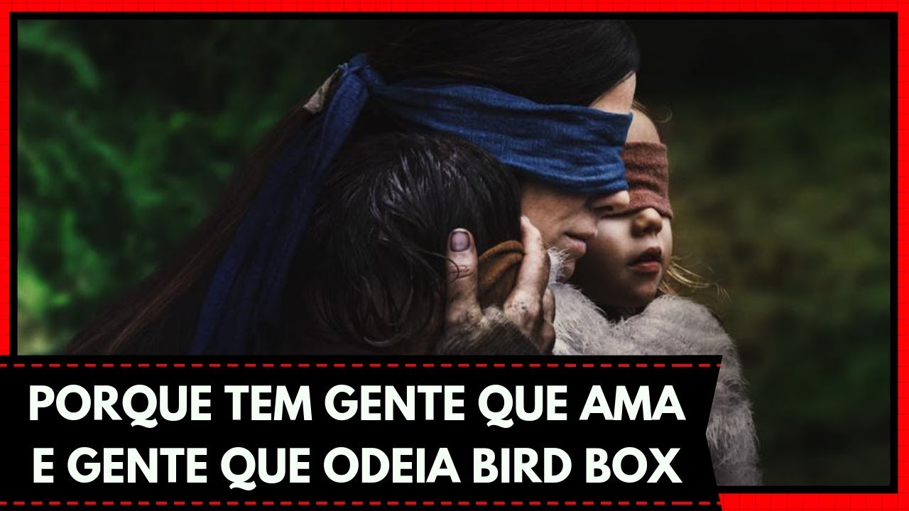 PORQUE BIRD BOX DIVIDIU TANTO AS OPINIÕES