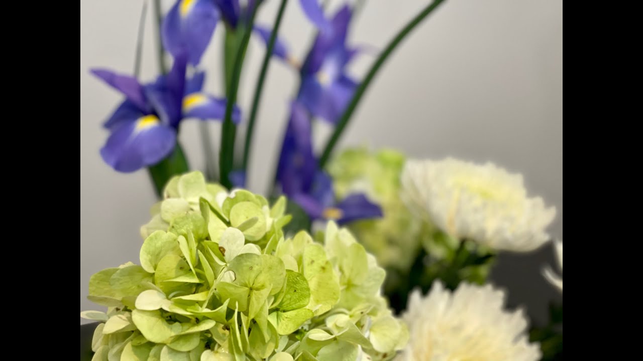 1.1 Ikebana Color Scheme Moribana Upright Style with Iris, Hydrangea and Chrysanthemum