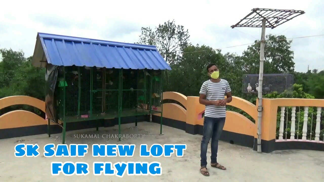 SEKH SAIF NEW PIGEON LOFT FOR FLYING - 7478226260